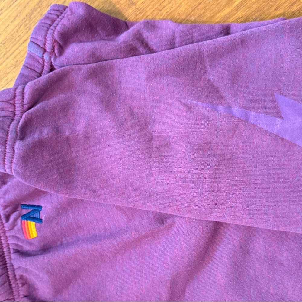 Aviator Nation Volt Sweatpants - Picture 12 of 15